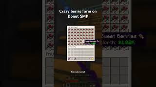 Donut smp berrie farm. Should I make a tutorial? #berriefarm #donutsmp #drdonut #minecraft