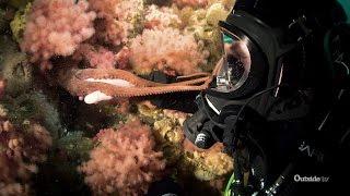 Diving in Canada's Icy Emerald Sea | Descending