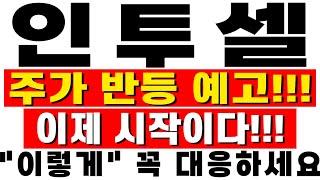 [인투셀 주가전망] 주가 반등 예고!!!이제 시작이다!!! 얼른 빨리 보세요!!!