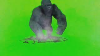 Gorilla Green screen effect your videos dangerous
