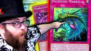 Can I Make It To Master Rank with PALEOZOIC?