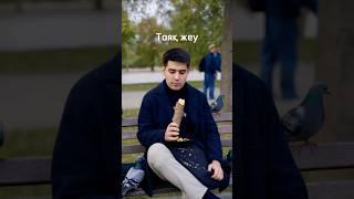 Казахские фразеологизмы на видео. Часть 1