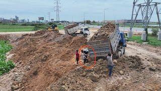 Advanced Land Filling Technology for EP3 - Shantui DH17C3 Bulldozer & 24-ton Dump Truck in Action