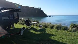 Tent CAMPING at beach Freezing cold  With Dog