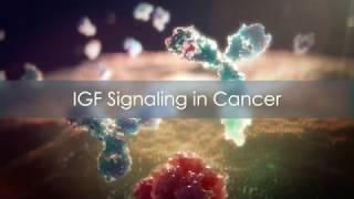 IGF Oncology