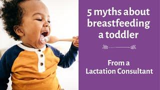 5 Myths About Breastfeeding Toddlers Debunked | How long to breastfeed