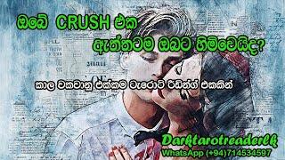 ඔබේ Crush එක ඇත්තටම ඔබට හිමිවේද?|Sinhala|#tarotreading #tarotcards #Futurw #love