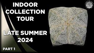 #Cactus & #Succulent Indoor Collection Tour | Late Summer 2024 | Part 1