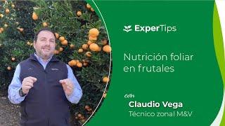 Expertips: Nutrición Foliar en frutales