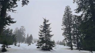 H038 (Schwarzwald) Hornisgrinde - Mummelsee