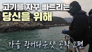 어쩌다 한 번 온 기회를 놓치면 안되지 -인천권 광어다운샷