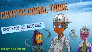 أفضل مشاريع  للشراء الآن  Crypto Coral Tribe NFT Solana