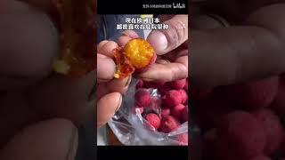 【亮记生物鉴定】网络热传生物鉴定29