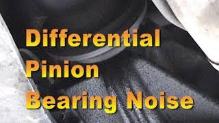 Differential Pinion Bearing Noise