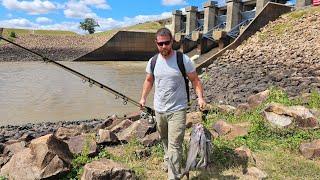 The BEST Late Summer Catfishing Bait