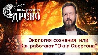 Экология сознания, или Как работают "Окна Овертона"