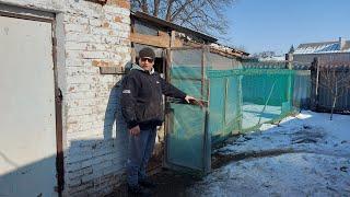 Скоро их не будет. Утёнок на месте.