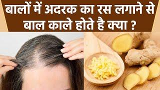 Hair में Ginger Juice लगाने से क्या होता है | बालों में अदरक का रस लगाने से बाल काले होते है क्या