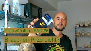 Pilze züchten - Brauchen Pilze Licht? Pilzzucht FAQ #5