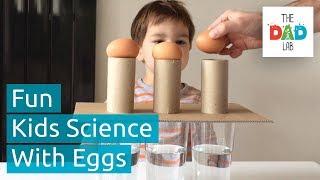 5 Cool Science Experiments with Eggs You Can Do with Kids