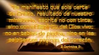 Ley y gracia de Dios - ¿La Gracia anula la Ley de Dios?