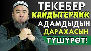 БИЛИП АЛЫҢЫЗ! ТЕКЕБЕР, КАЙДЫГЕРЛИК АДАМДЫДЫН ДАРАЖАСЫН ТҮШҮРӨТ!