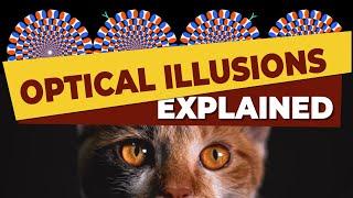 Optical Illusions Explained