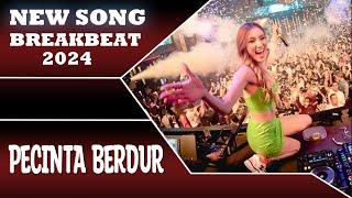 DJ PECINTA BERDURI BREAKBEAT 2024 [ DOL FUNK ]