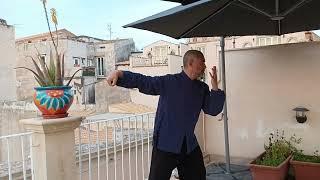 Tai-Chi Yang Style #taijiquan