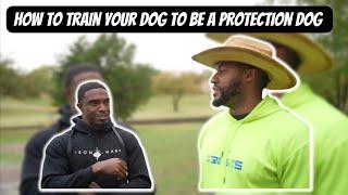 How to Turn your Dog into a Protection Dog