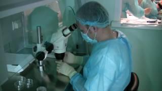 ОМСК Омский центр репродуктивной медицины, день эмбриолога 1