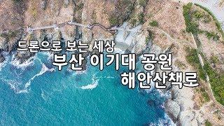 [드론이야기] 부산 이기대 공원 해안산책로