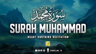 Surah Muhammad (سورة محمد) Best Quran recitation in the world | Zikrullah TV