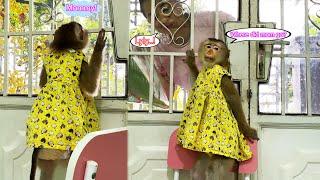 Monkey Lyly was confused when she found her mother closed the door and she was home alone.