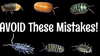 10 Isopod MISTAKES to Avoid