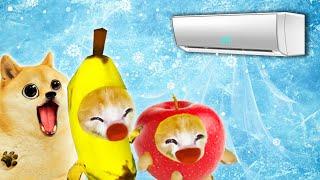 Air Conditioner Madness: Banana Cat's Frosty Fiasco!  Baby Banana Cat Compilation | Cat MEME 