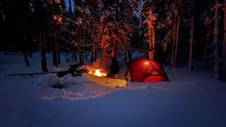 Backcountry Winter Camping in DEEP SNOW with my dogs!