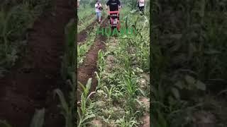 Weed Grass for corn field with Mini Plough from HUAYO AGRO