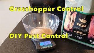 how to prevent and kill Grasshoppers.  DIY review and how to apply Nolo Bait.  Organic gardening tip