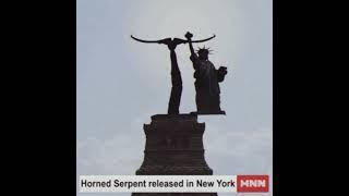 Horned serpent filmed by MNN