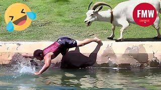 Funny & Hilarious People's Life  #102 - Try not to Laugh | Funny Fails Compilation 2024