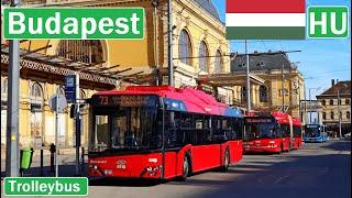  BUDAPEST TROLLEYBUS / Budapesti trolibusz 2024【4K】