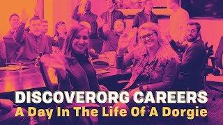 DiscoverOrg Careers: A Day In The Life Of A Dorgie