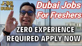 Jobs In Dubai For Freshers | Apply For Dubai Job Vacancies