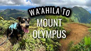 Wa'ahila ridge trail to Mount Olympus hike| Oahu Hawaii