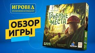 Грибные места. Обзор настольной игры от Игроведа