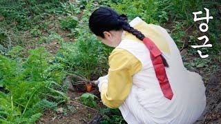 Make  Tteokbokki and Gimbap with carrots | Eat carrot eggs as a snack