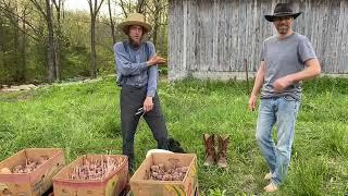 Planting Potatoes | 04.23.24