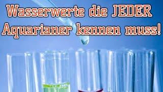 Wasserwerte die jeder kennen und verstehen muss! | Wassertests die man zu Hause haben muss!