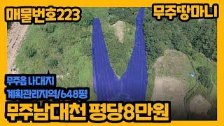 매물번호 223. 무주읍 남대천뷰 평당8만원 토지